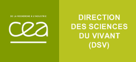 Bolsas de Doutorado - Ciências/Biologia (França)