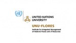 Universidade das Nações Unidas e Universidade Técnica de Dresden oferecem bolsas para Doutorado