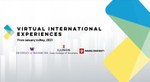 Virtual International Experiences for Administration and Engineering