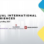 Virtual International Experiences for Administration and Engineering